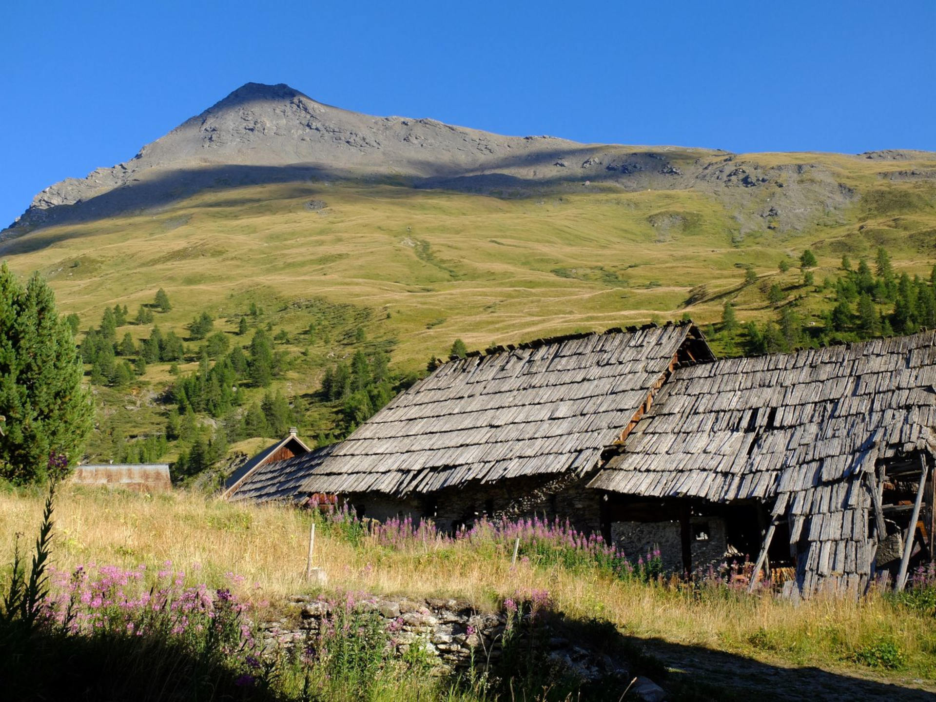 Cervières, vallée sauvage du Briançonnais à pied : 

type: photo

0: /